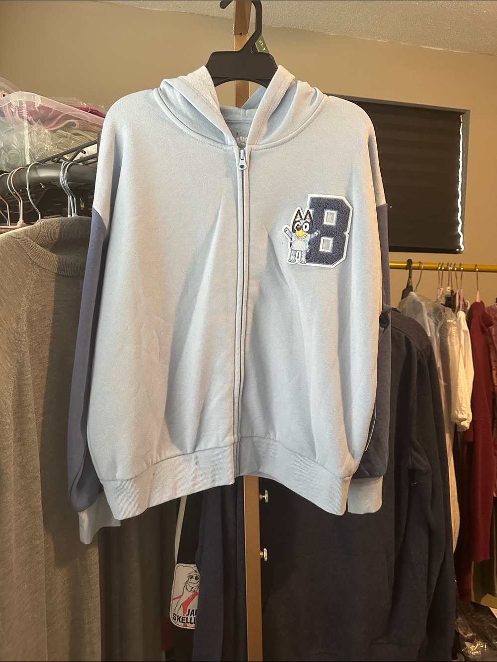 Bluey hoodie for girls